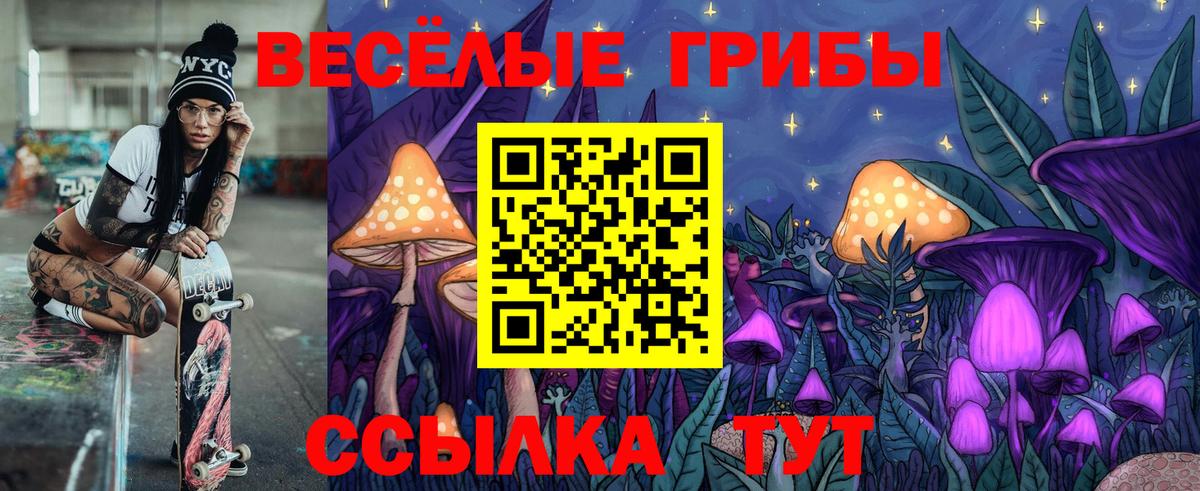 Галлюциногенные грибы Psilocybine cubensis  Галлюциногенные грибы ЛСД  Вход с VPN  Джанкой 