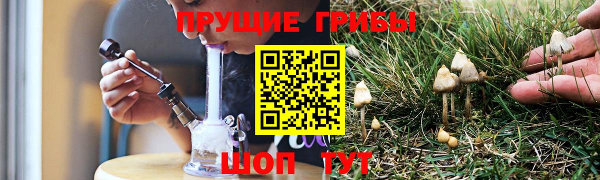 Псилоцибиновые грибы мицелий Джанкой